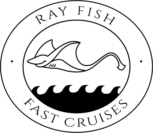 Ray Fish Fast Cruises Logo