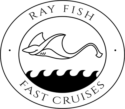 Ray Fish Fast Cruises